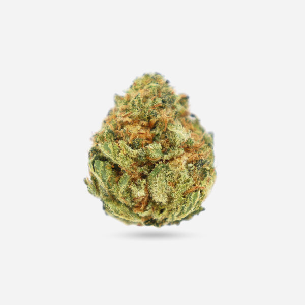 Mango Tango – Indica